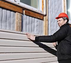 Best Historical Building Siding Restoration  in Brielle, NJ